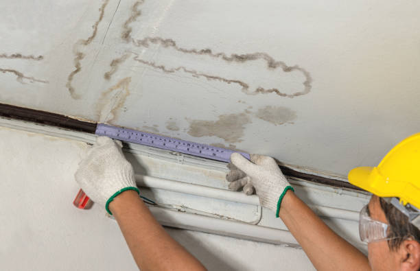Reliable Mold Remediation contractor in Newport, NC by Water Damage Irwin